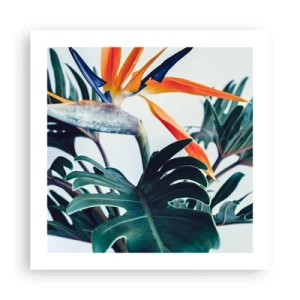 Poster - Tufiș sau pasăre? - 50x50 cm