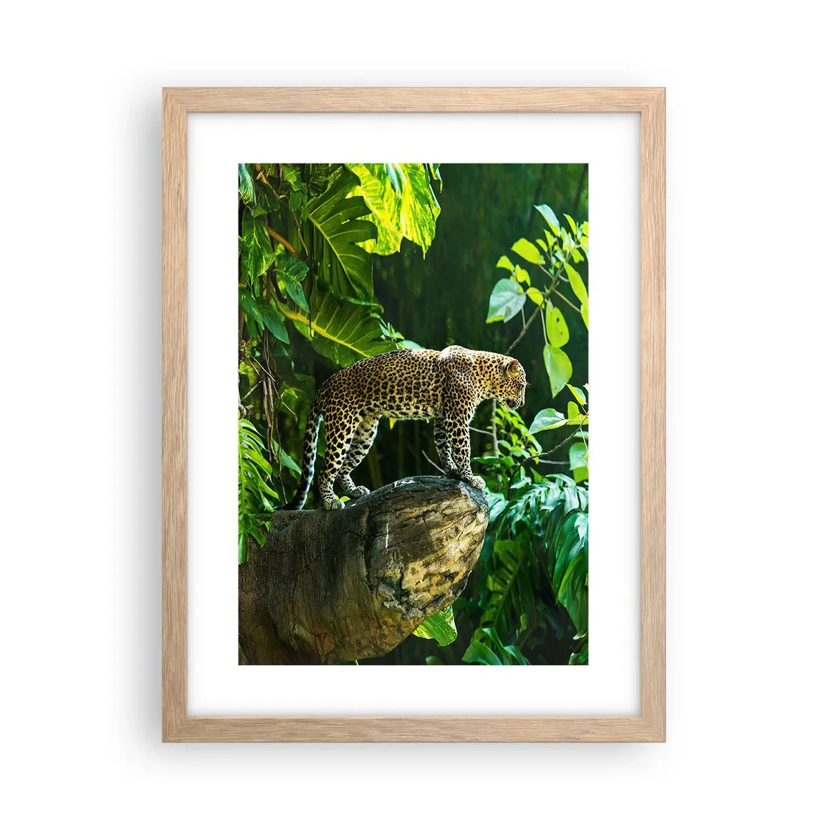 Poster în ramă de stejar deschis - La vânătoare? - 30x40 cm