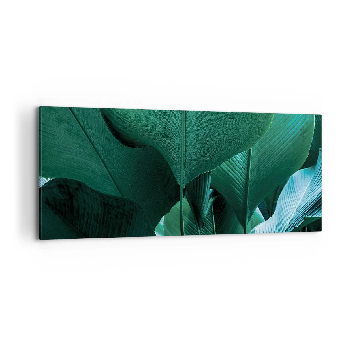 Tablou pe pânză - Cu frunza la lumină - 100x40 cm
