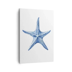 Tablou pe pânză - Steaua mării - 70x100 cm