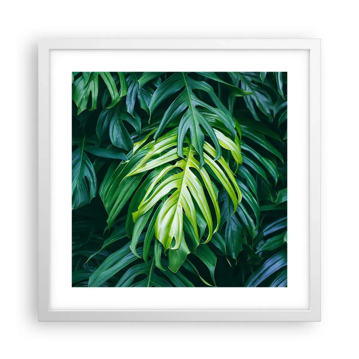 Poster în ramă albă - Scufundă-te în prospețime - 40x40 cm