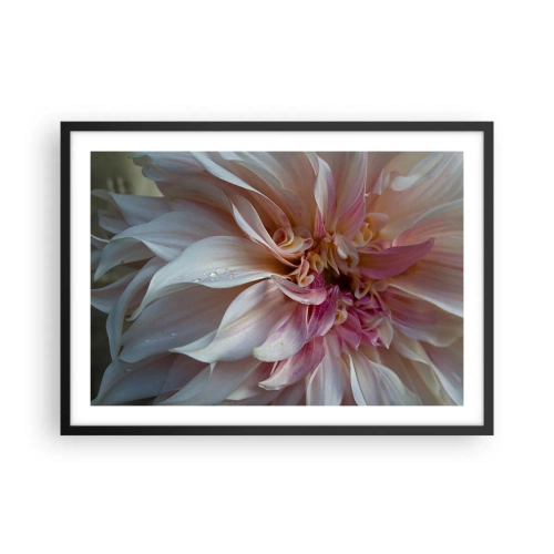 Poster în ramă neagră - Prospețime înfloritoare - 70x50 cm