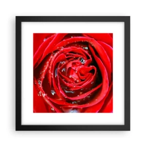 Poster în ramă neagră - În picături de rouă - 30x30 cm