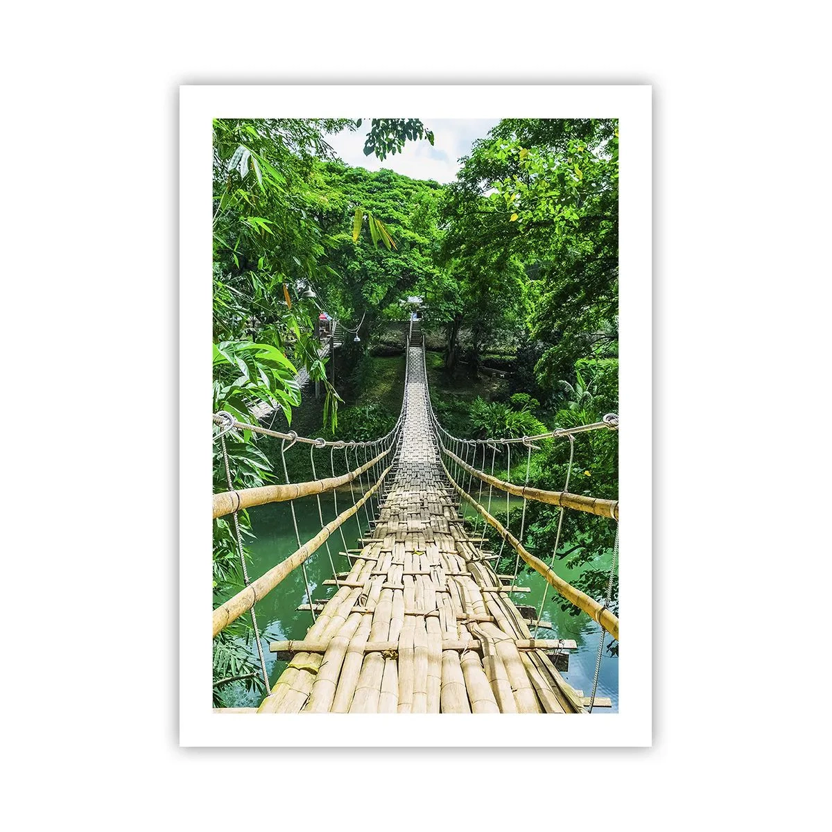 Poster - Pod de maimuțe peste verdeață - 50x70 cm