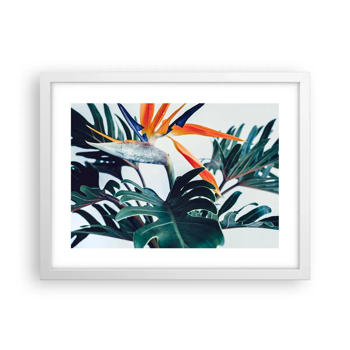 Poster în ramă albă - Tufiș sau pasăre? - 40x30 cm