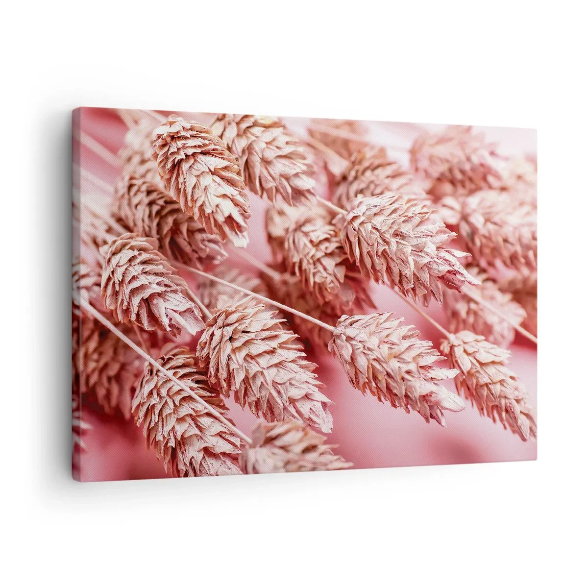 Tablou pe pânză Canvas - Prim-plan al urechilor cu nuanțe roz - 70x50cm - Cascadă florală în roz - Decorațiune modernă pentru perete pentru living și dormitor ARTTOR
