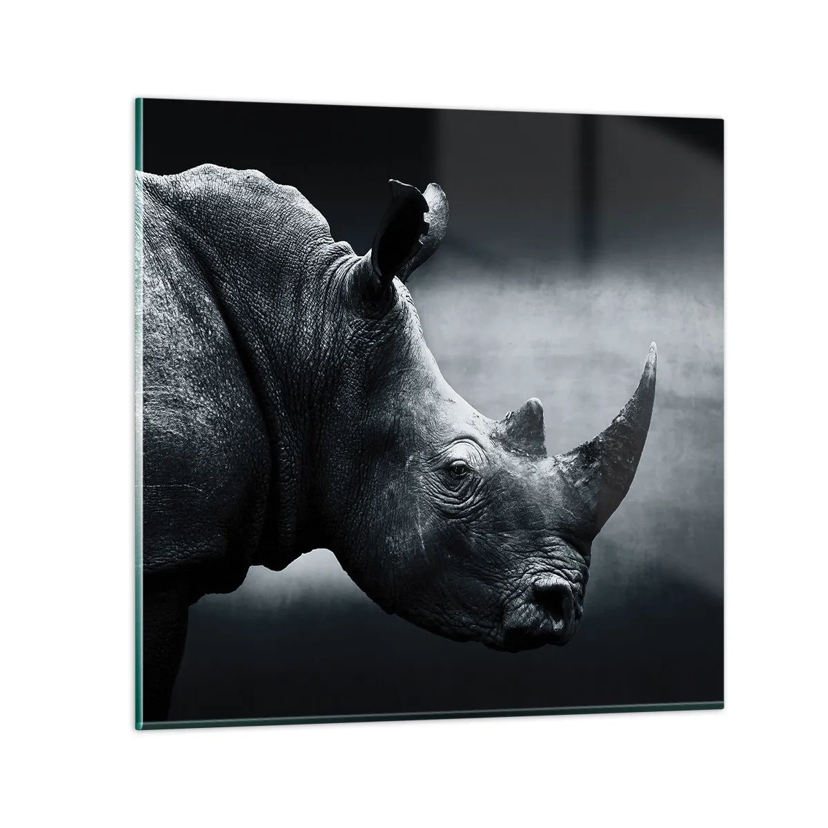 Tablou pe sticlă - Profil drept - 50x50 cm