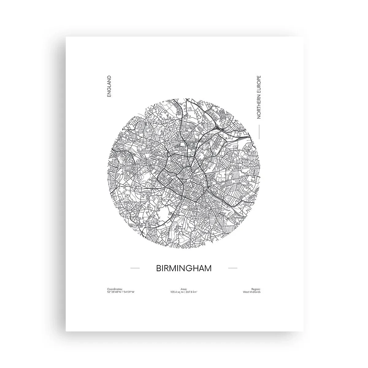 Poster - Anatomia Birmingham - 40x50 cm