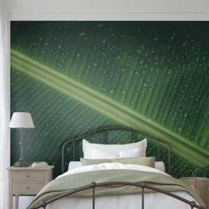 Tapet Premium Canvas - Structura verdelui - Frunză verde, Planta tropicala, Bucată - 450x315 cm