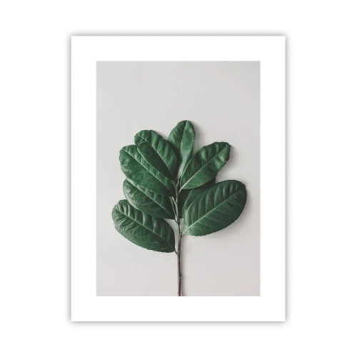 Poster - Desenul naturii însăși - 30x40 cm