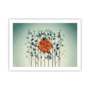 Poster - Soarele japonez - 70x50 cm