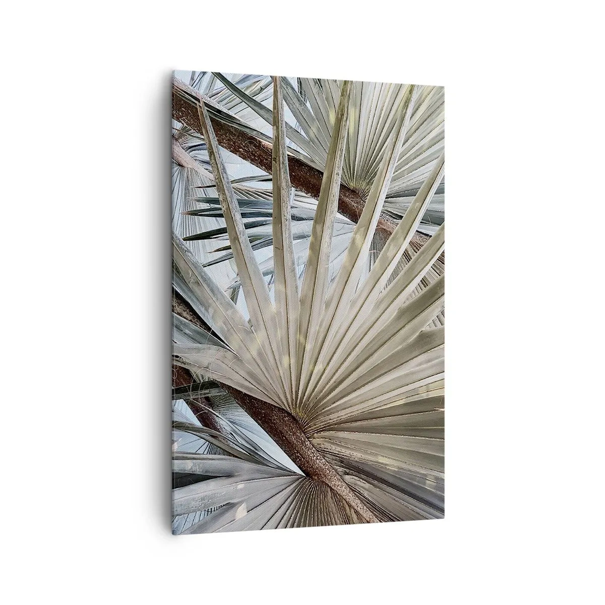 Tablou pe pânză - Evantaie din tropice - 80x120 cm