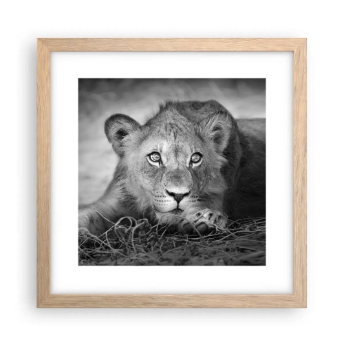 Poster în ramă de stejar deschis - Pisicuța regală - 30x30 cm