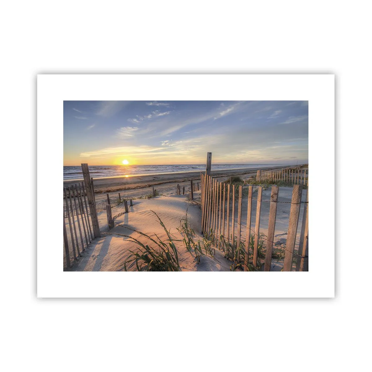 Poster - Strălucirea și umbra vântului - 40x30 cm