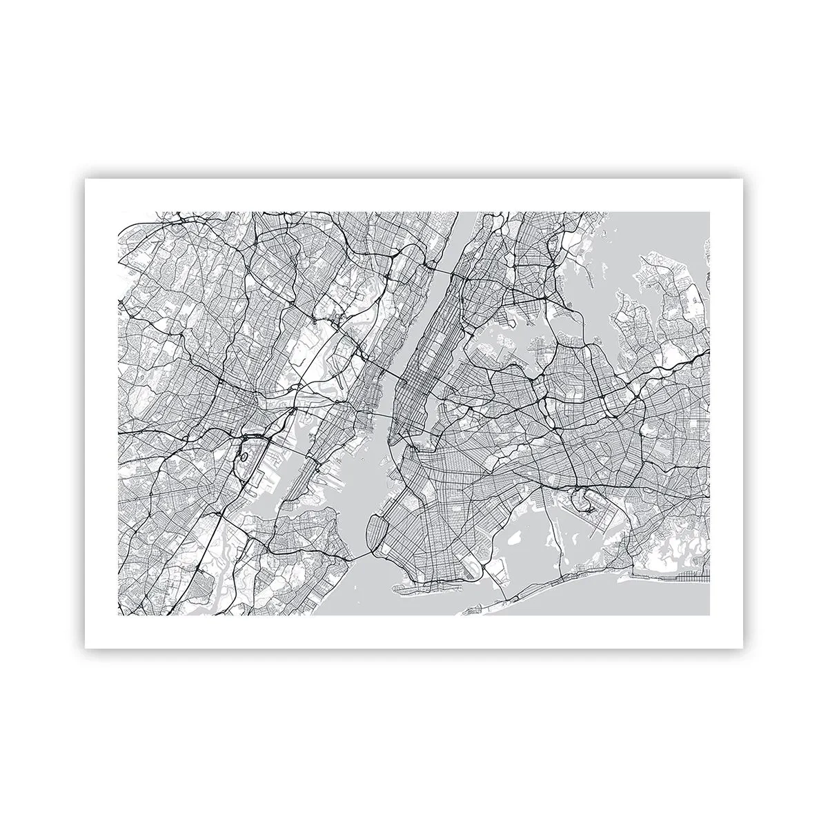Poster - Anatomia unei metropole - 70x50 cm