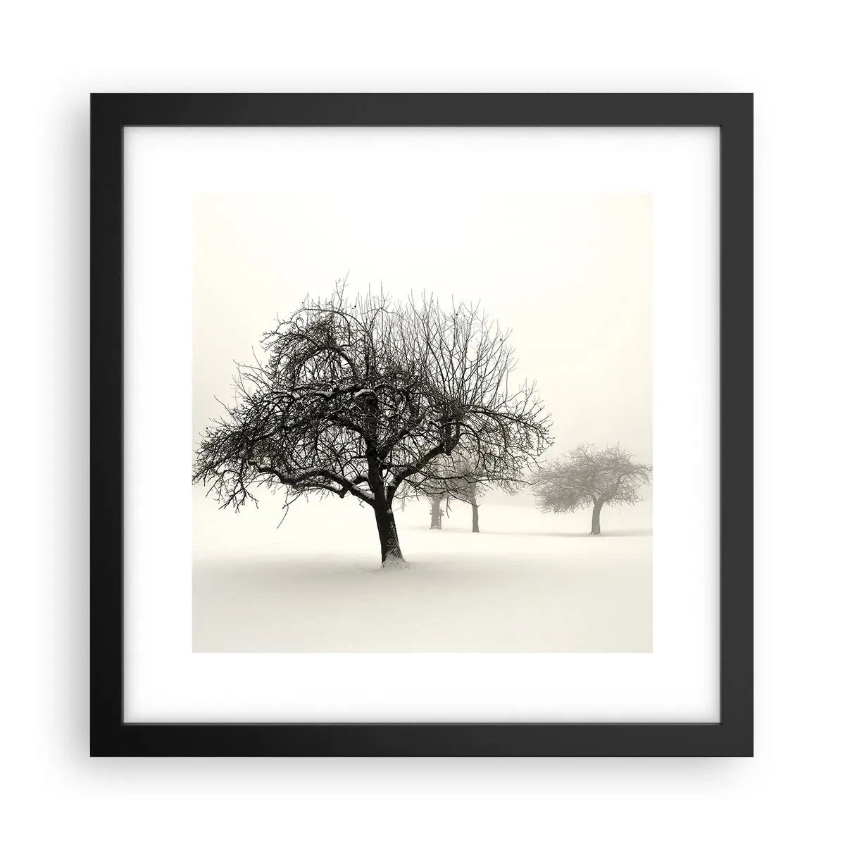 Poster în ramă neagră - Hibernare - 30x30 cm