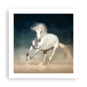 Poster - Libertate în stare pură - 50x50 cm