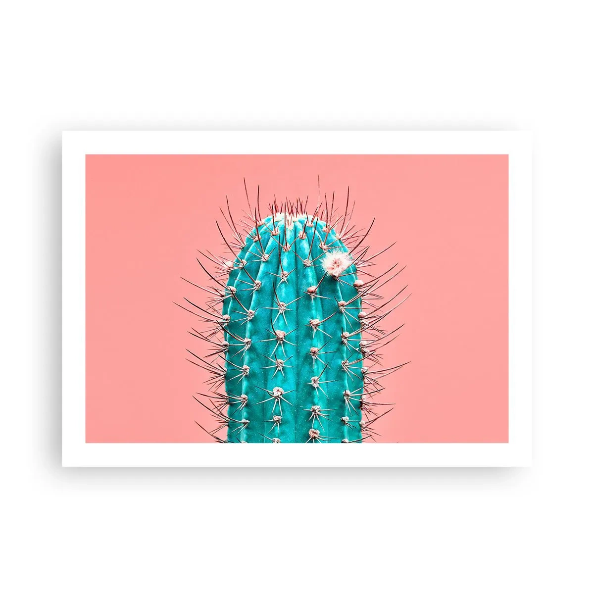 Poster - Doar privește - 70x50 cm