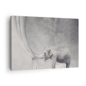 Tablou pe pânză Canvas - Un elefant trăgând cortina într-o fotografie alb-negru suprarealistă - 70x50cm - Dezvăluirea misterului - Decorațiune modernă pentru perete pentru living și dormitor ARTTOR