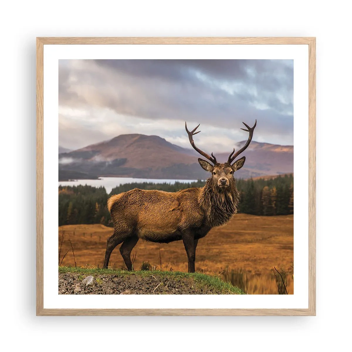 Poster în ramă de stejar deschis - Măreția naturii - 60x60 cm