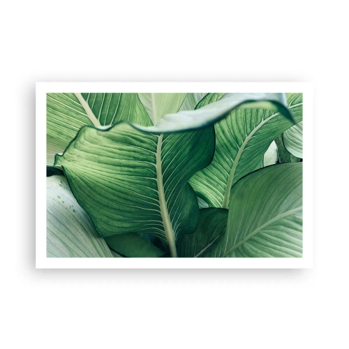 Poster - Viață intensă în verde - 91x61 cm