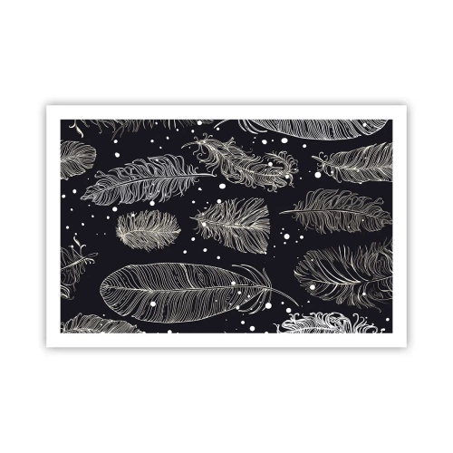 Poster - Dantelă cu pene - 91x61 cm