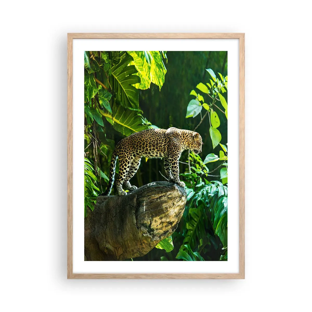 Poster în ramă de stejar deschis - La vânătoare? - 50x70 cm