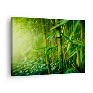 Tablou pe pânză Canvas - Pădure verde de bambus în lumină blândă - 70x50cm - Cunoașteți verdeața în sine - Decorațiune modernă pentru perete pentru living și dormitor ARTTOR