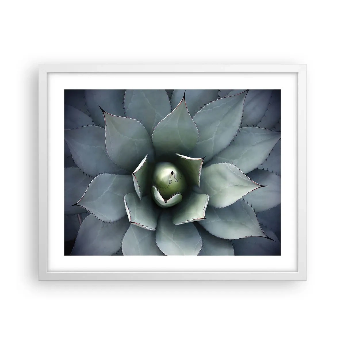 Poster în ramă albă - Momește și avertizează - 50x40 cm