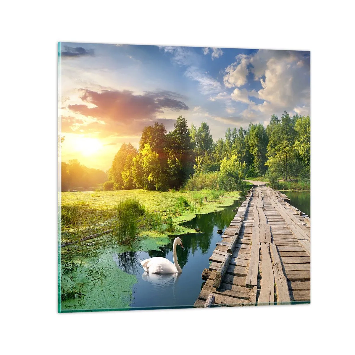 Tablou pe sticlă - Vară, vară peste tot - 50x50 cm