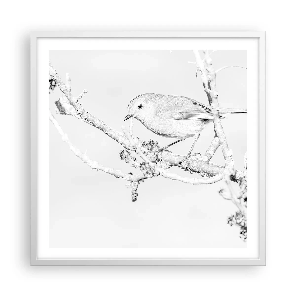 Poster în ramă albă - Dimineață de iarnă - 60x60 cm