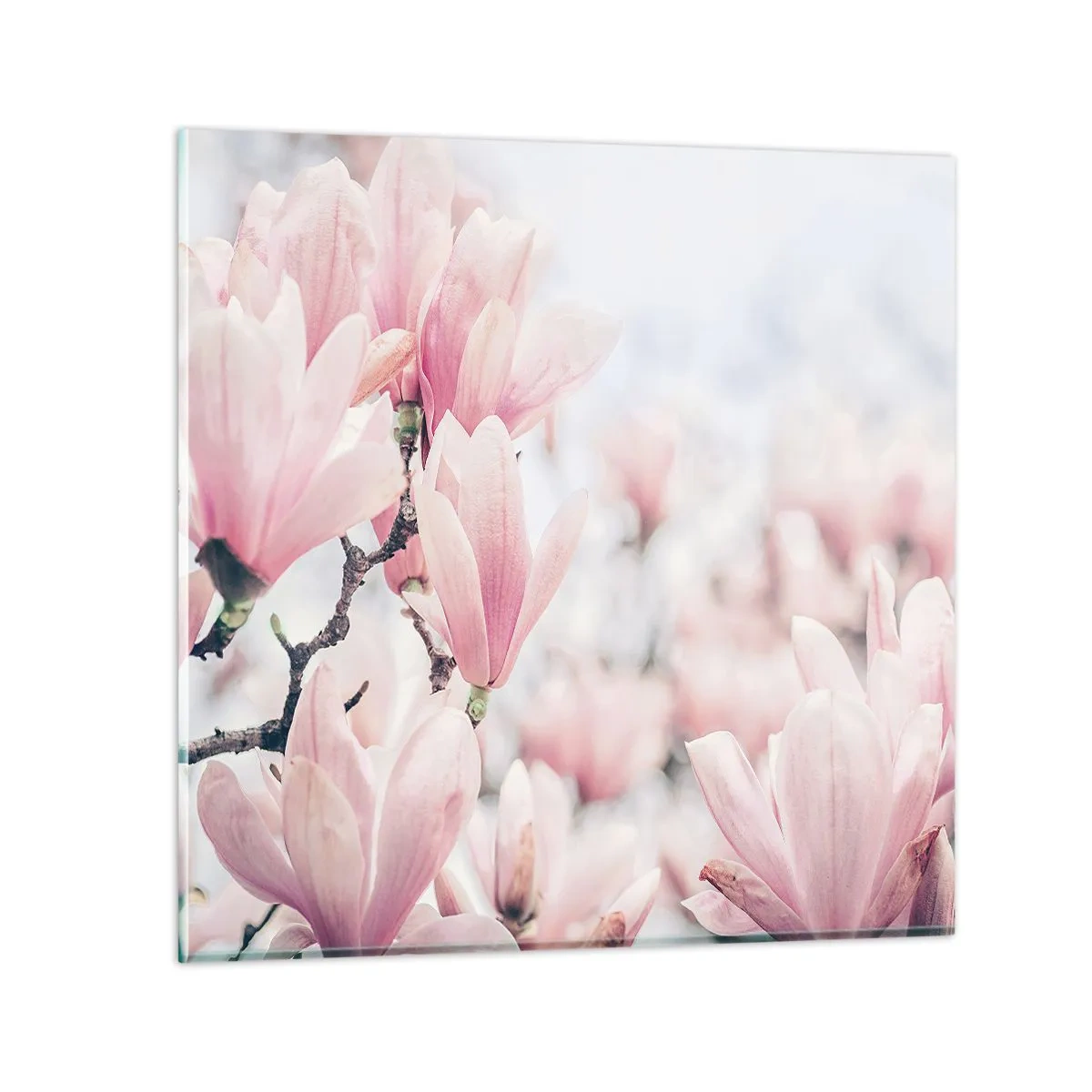 Tablou pe sticlă - Idealul de subtilitate - 70x70 cm