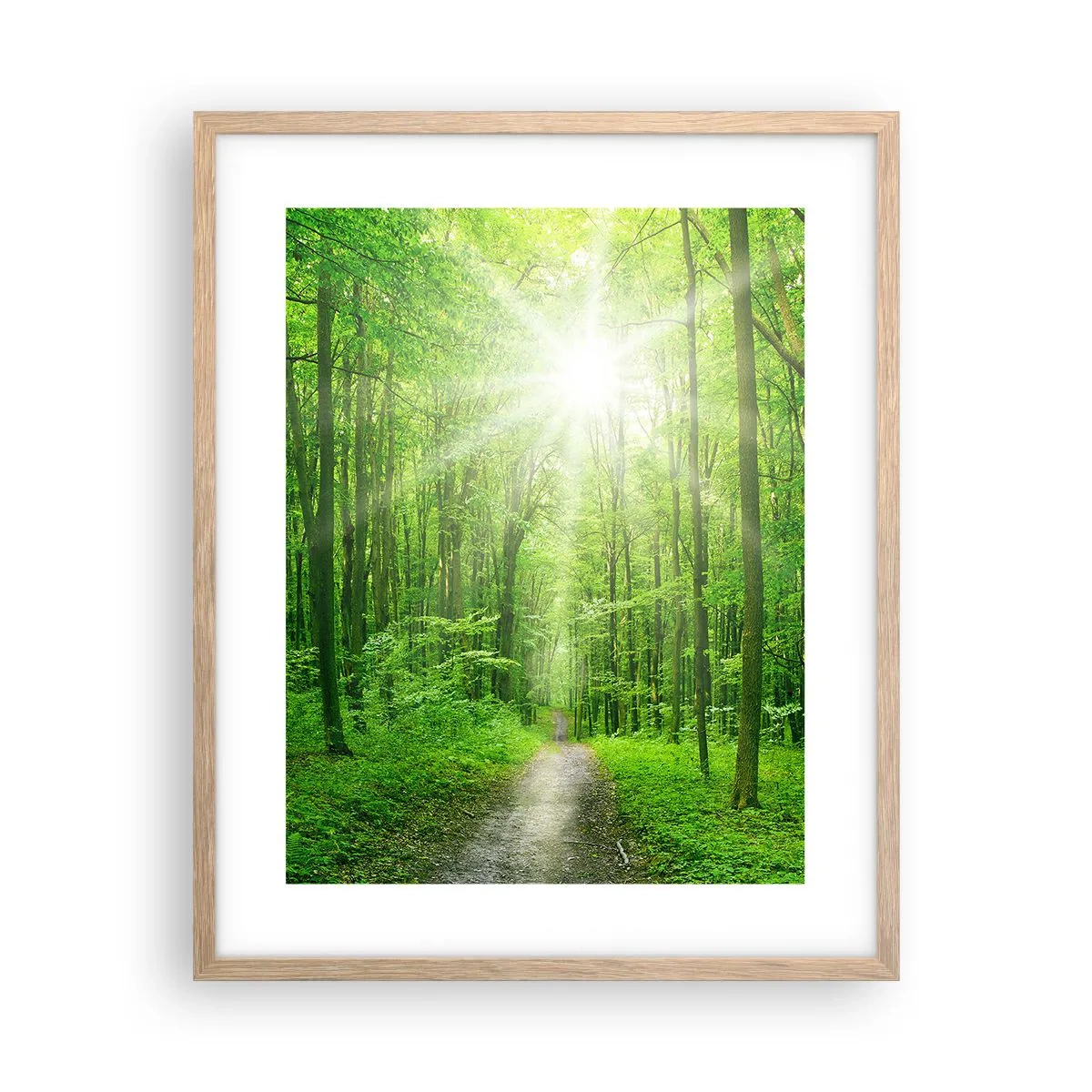 Poster în ramă de stejar deschis - Catedrala verde - 40x50 cm