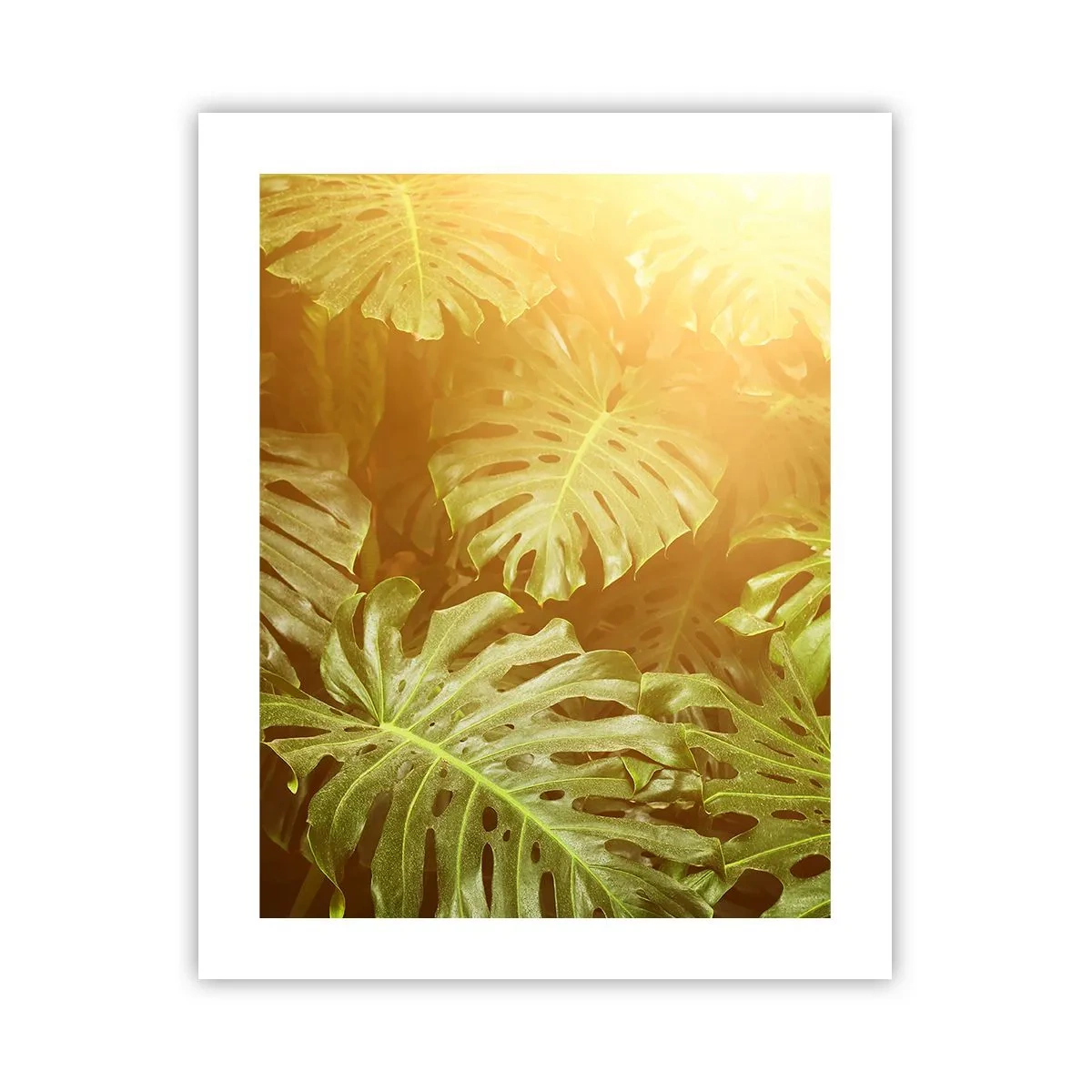 Poster - Poftiți în verde - 40x50 cm