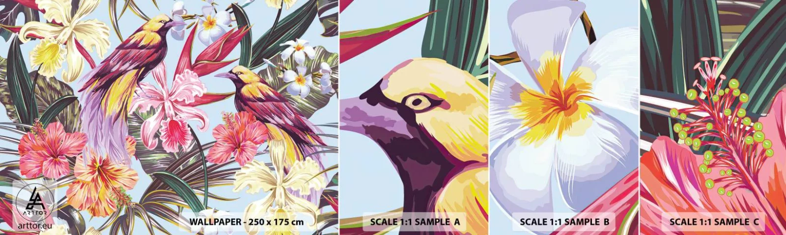 Mostră de Tapet Standard Eco - Petale și pene - Pasăre, Flori, Grădină - 100x30 cm