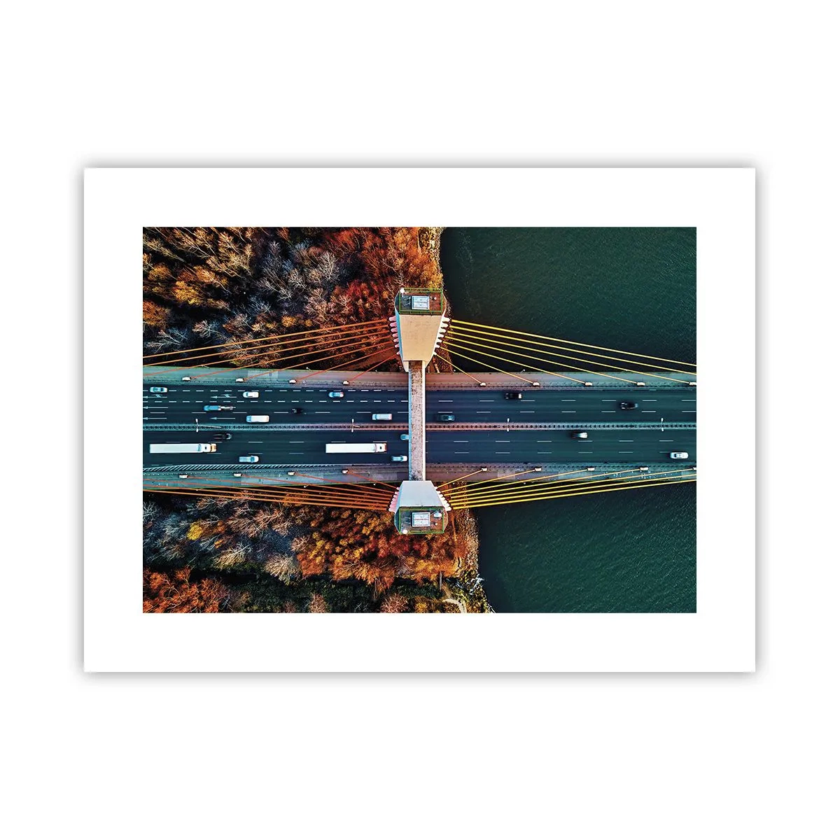 Poster - Din pădure spre apă - 40x30 cm