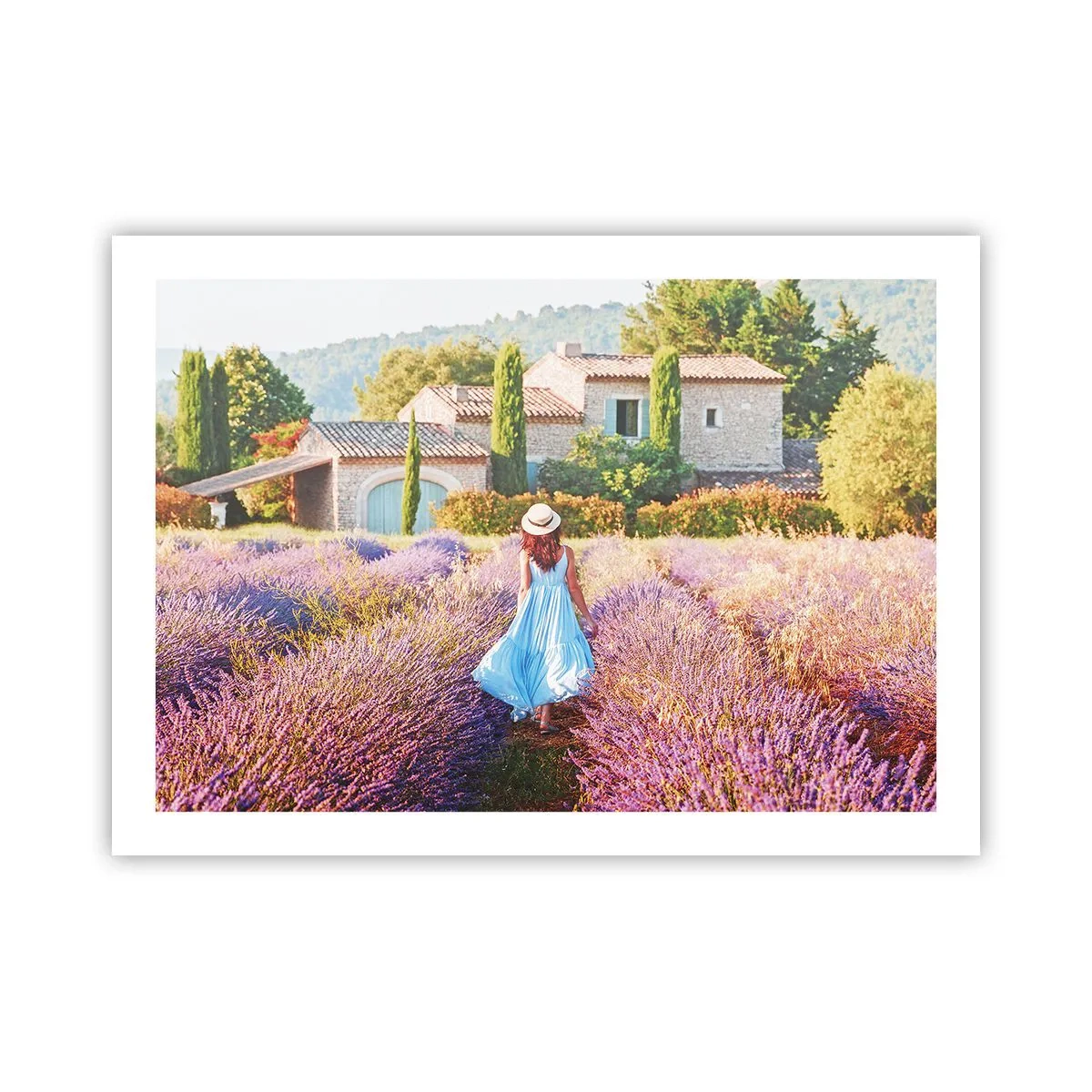 Poster - Fata de lavandă - 70x50 cm