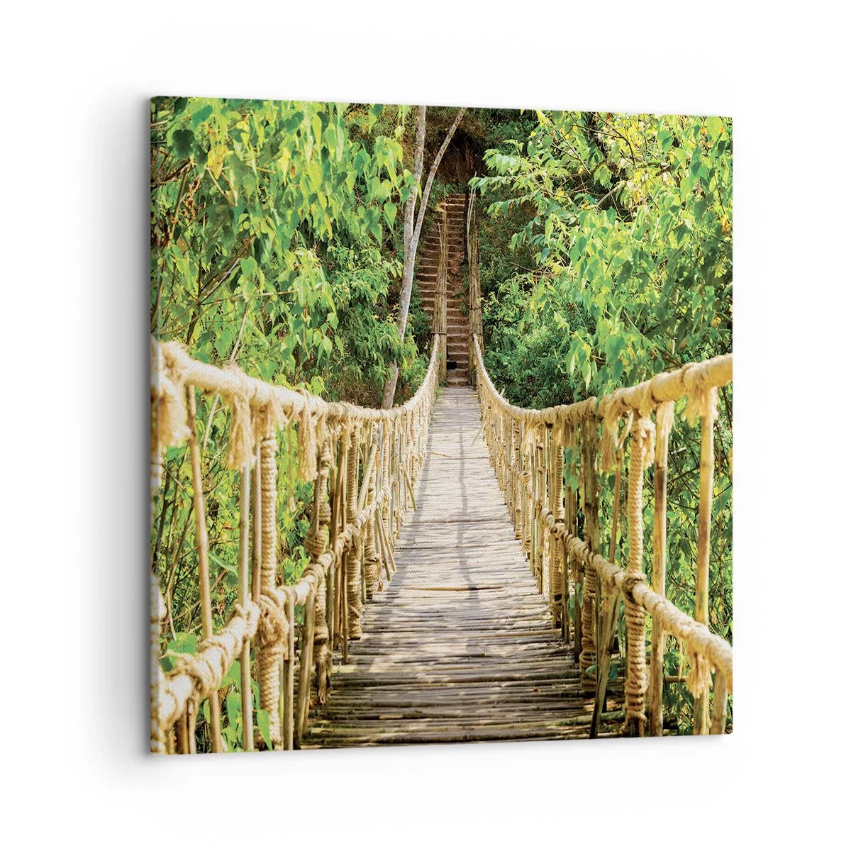 Tablou pe pânză - Suspendat în verde - 50x50 cm