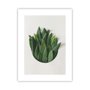 Poster - Curiozitatea nestăvilită - 30x40 cm