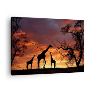 Tablou pe pânză Canvas - Siluete de girafe pe fundalul apusului african - 70x50cm - O mică cină cu cei dragi - Decorațiune modernă pentru perete pentru living și dormitor ARTTOR