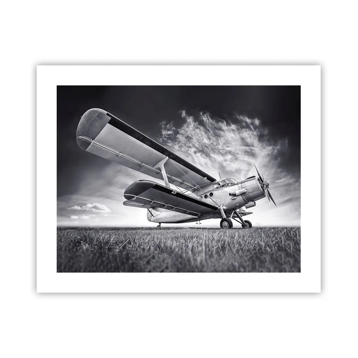 Poster - Rătăcitorul înaripat - 50x40 cm