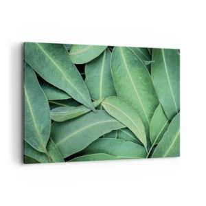 Tablou pe pânză - Suculente și proaspete - 120x80 cm