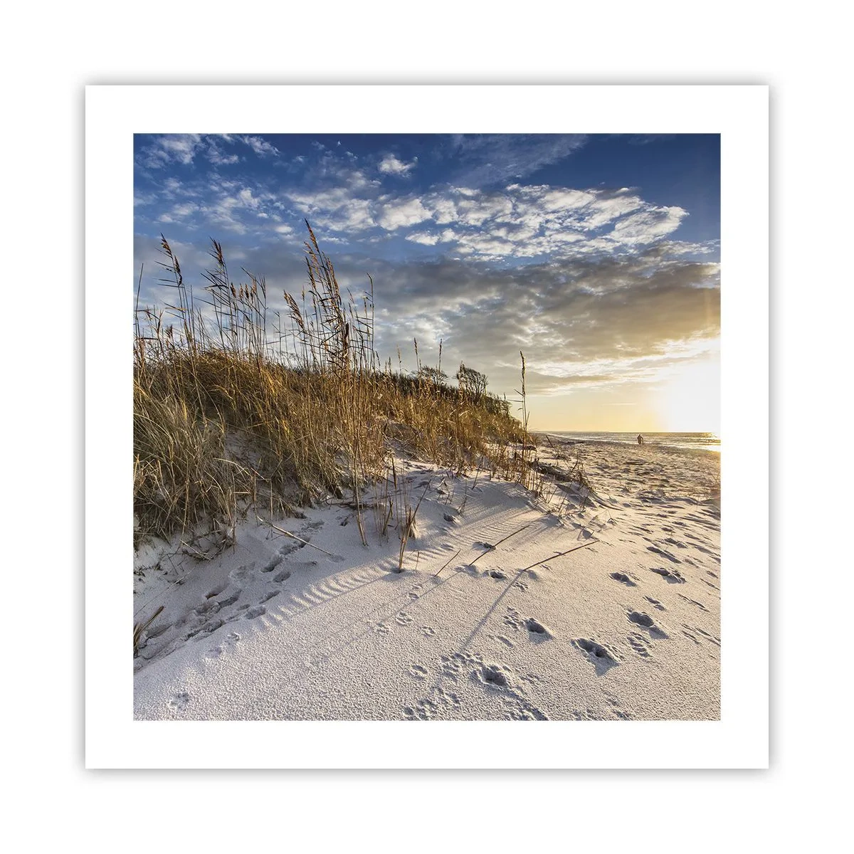 Poster - Invitație la o plimbare - 50x50 cm