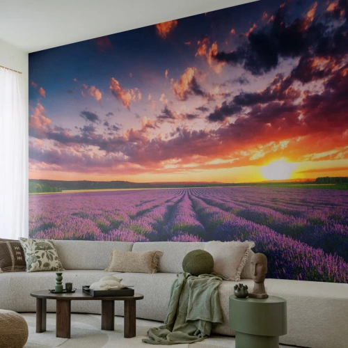 Tapet Premium Canvas - Lumea lavandei - Peisaj, Câmp de lavandă, Lavandă - 100x70 cm