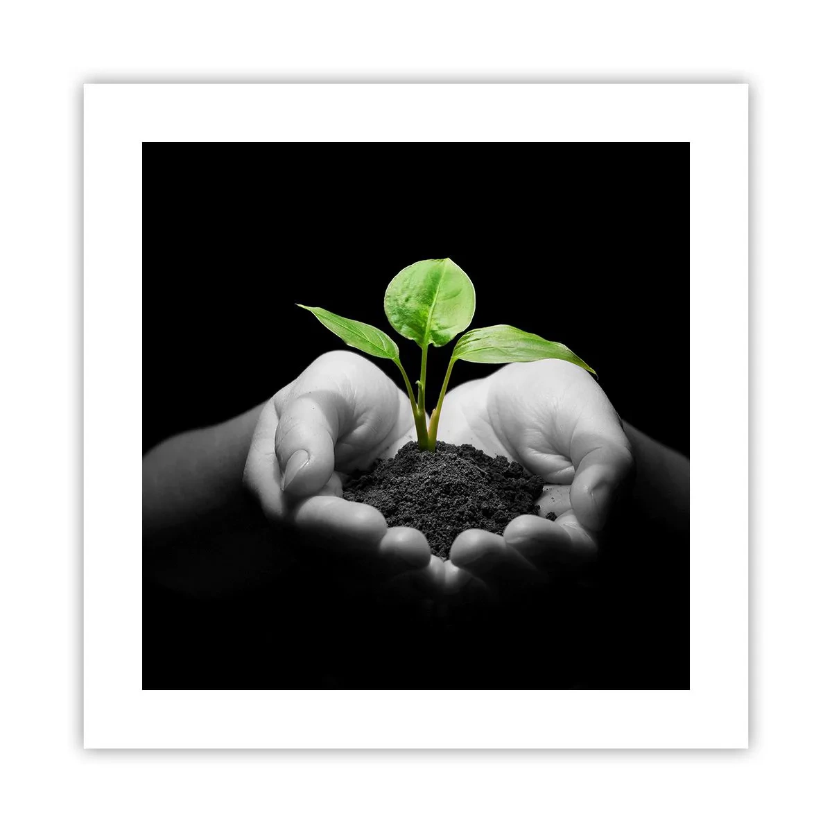 Poster - Iubesc natura, o protejez - 40x40 cm