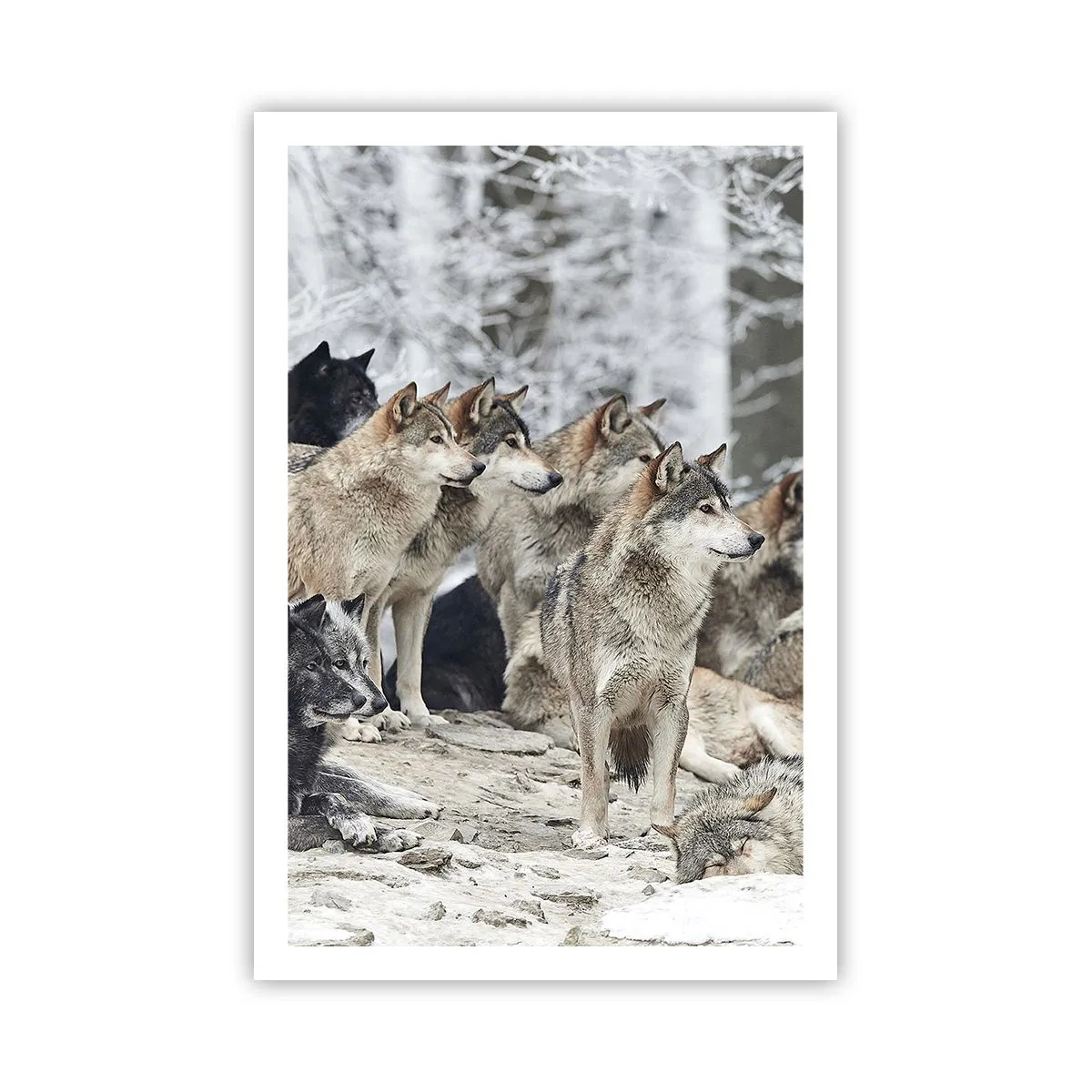 Poster - Familie și prieteni - 61x91 cm