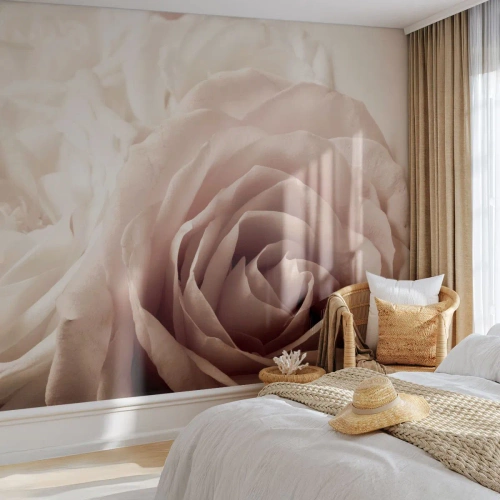 Tapet Premium Sand - În inima unui trandafir - Trandafiri, Flori, Romantic - 400x280 cm