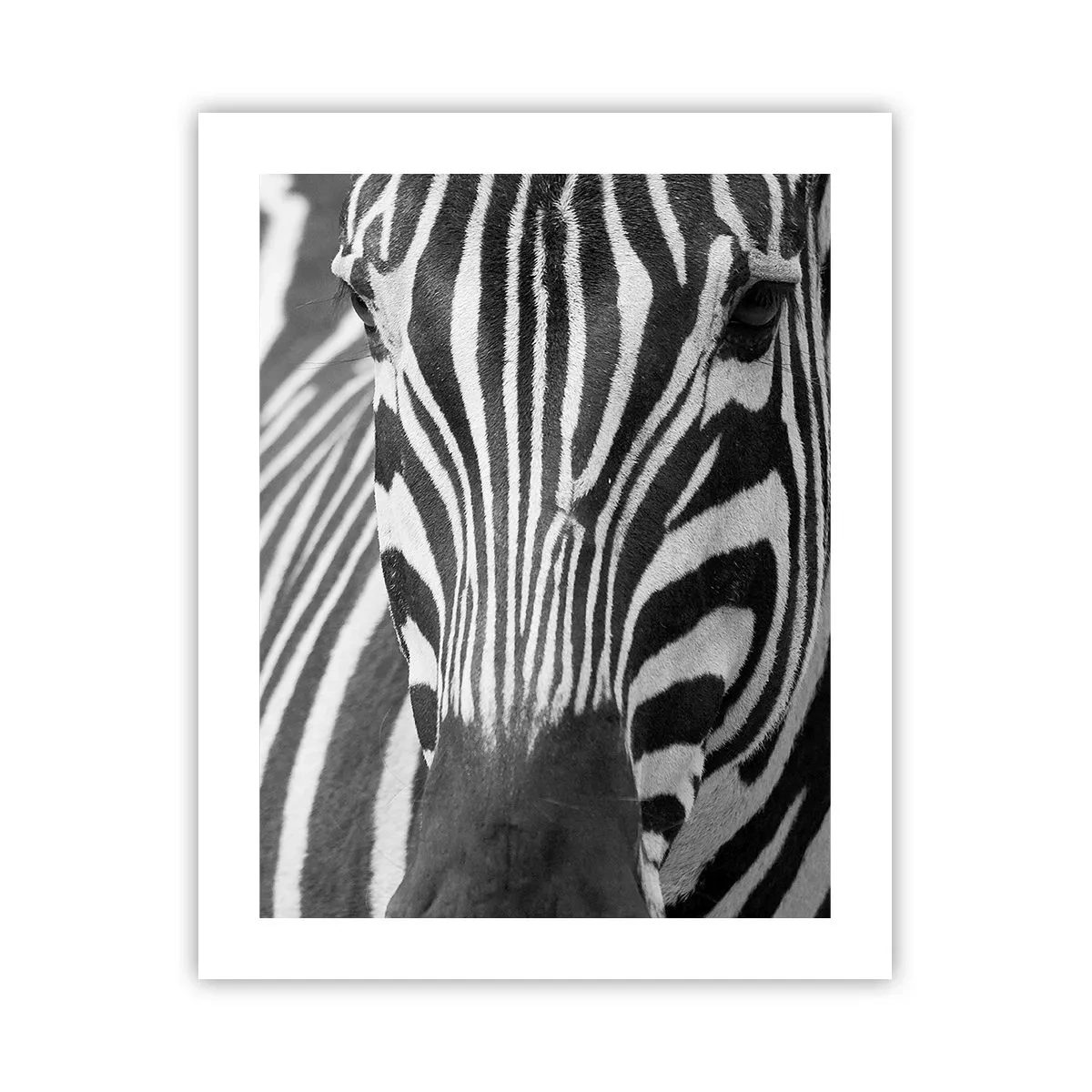 Poster - Lumea e albă și neagră - 40x50 cm