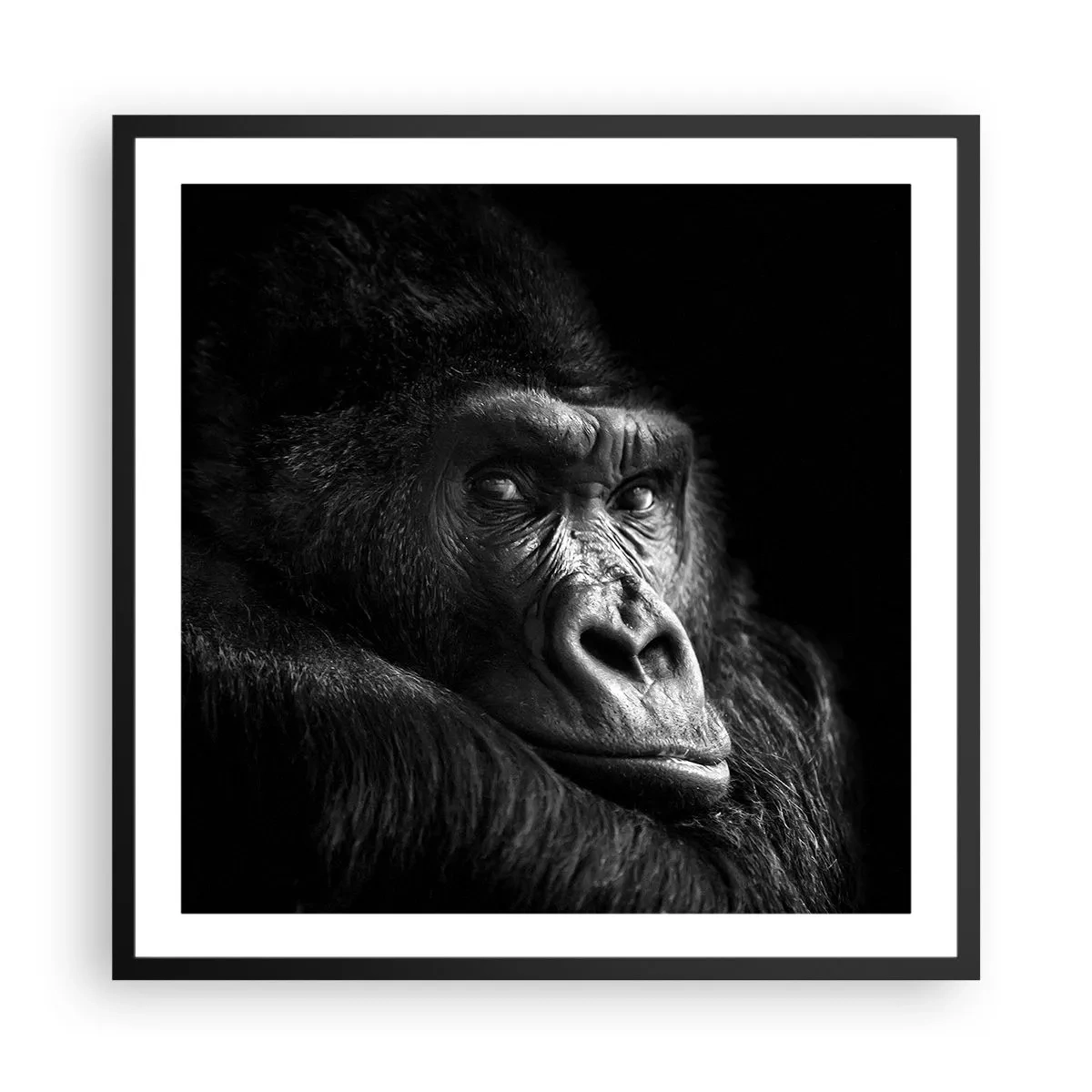 Poster în ramă neagră - Și la ce te uiți? - 60x60 cm