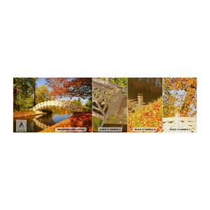 Mostră tapet Premium Canvas - Pe podul alb al suspinelor - Peisaj, Parc, Pod de lemn - 100x30 cm